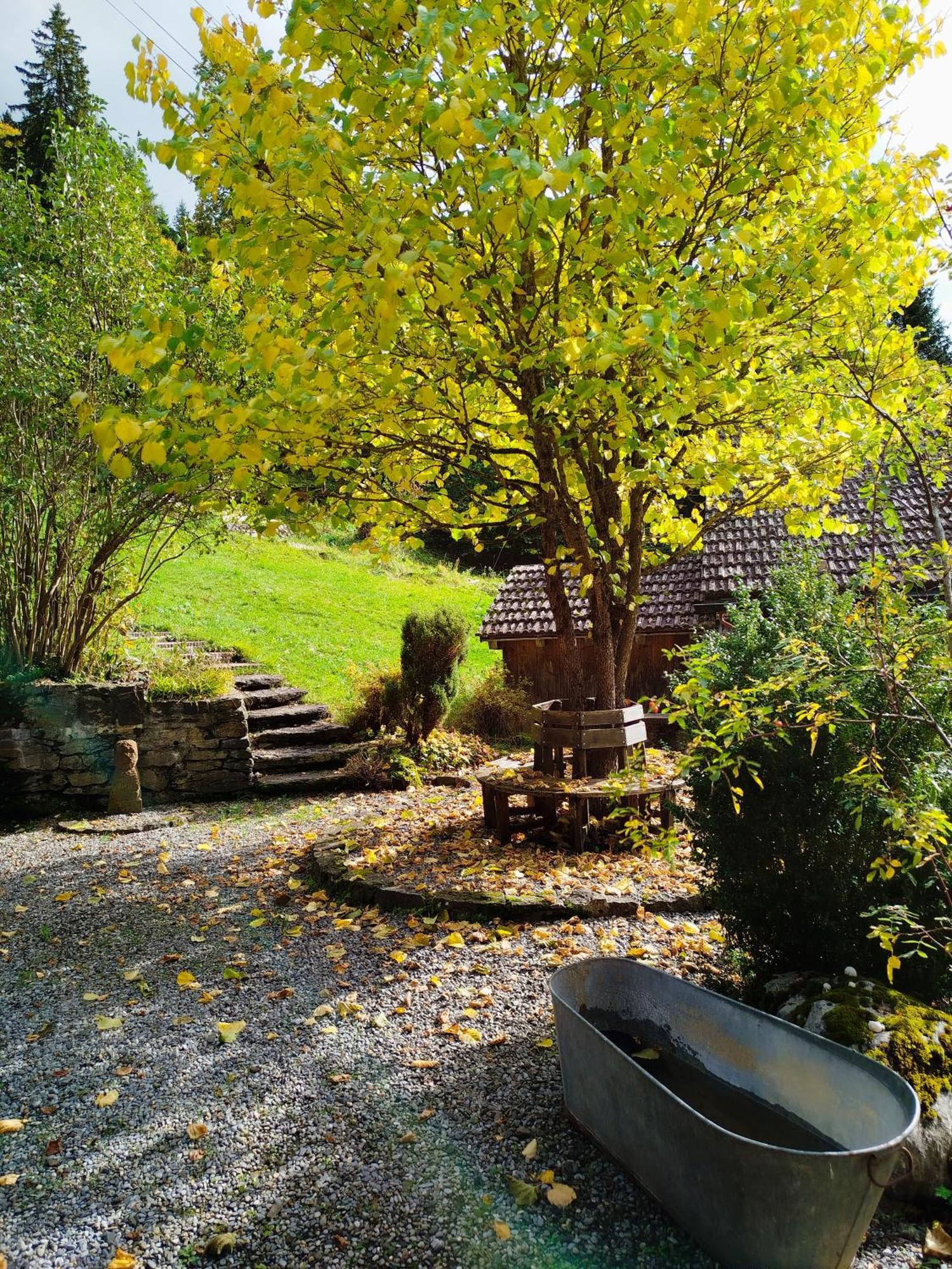 Sonnenhof Wengen - First Hotel Of Wengen Luaran gambar